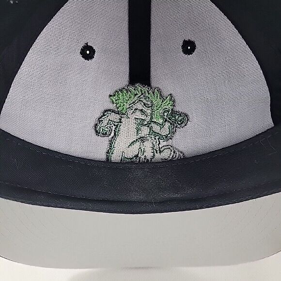 Eugene Emeralds Hat MiLB Adjustable OSFA Adult Cap Minor League Baseball Sluggo - Picture 9 of 10